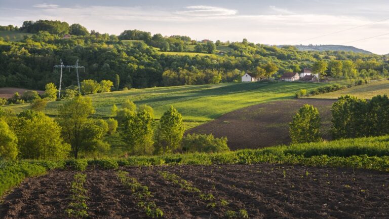 beautiful-horizontal-shot-green-field-with-bushes-trees-small-houses-countryside